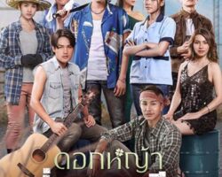 ดอกหญ้าป่าคอนกรีตย้อนหลัง 244413124435781.jpg