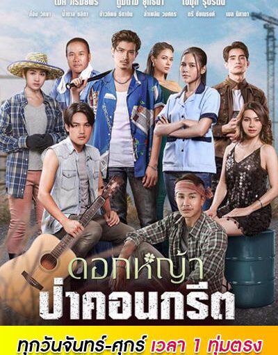 ดอกหญ้าป่าคอนกรีตย้อนหลัง