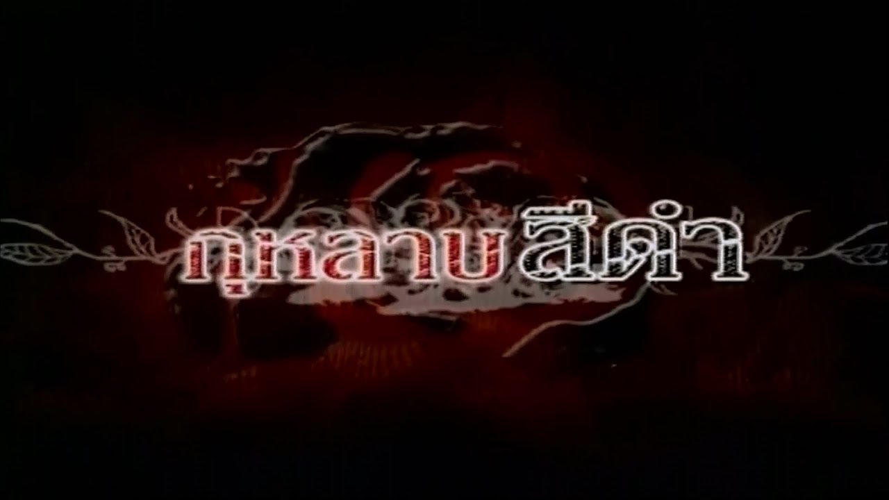 กุหลาบสีดํา