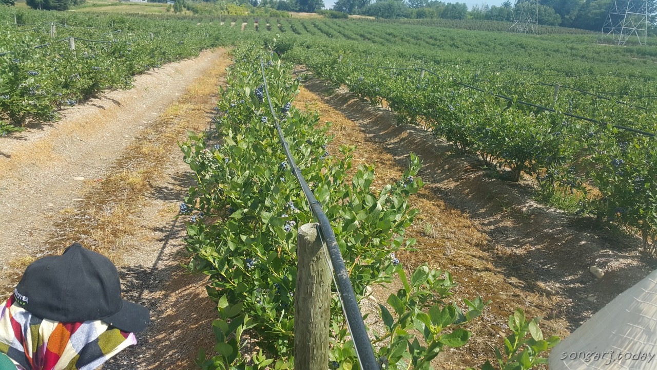 ฉันกับนางฟ้าตัวกลม ตอนที่9