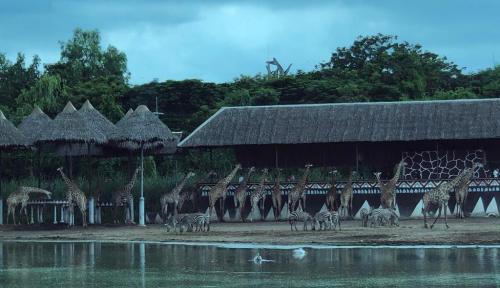 LINE ALBUM ทัศนศึกษาซาฟารีเวิลด์ ๒๒๐๘๐๖ 57