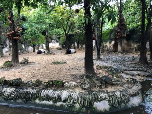 LINE ALBUM ทัศนศึกษาซาฟารีเวิลด์ ๒๒๐๘๐๖ 87